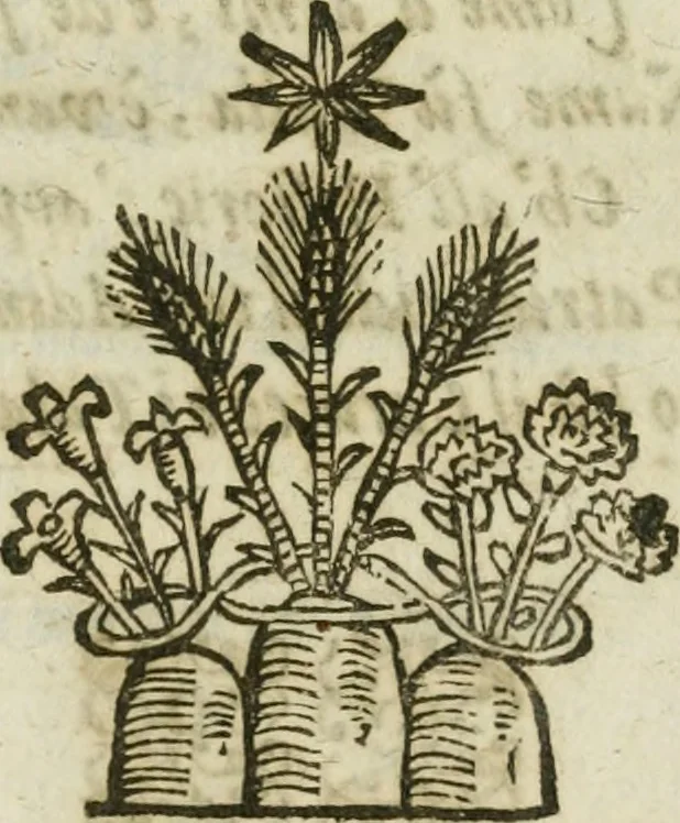 An illustration from Sito riminese, 1616, leaf 12