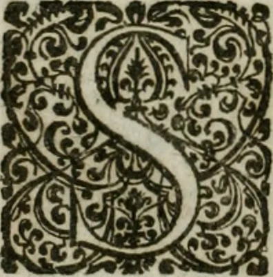 An illustration from Sito riminese, 1616, leaf 13