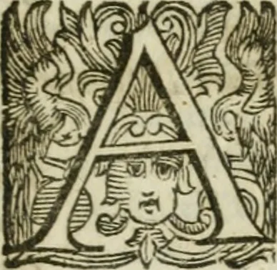 An illustration from Sito riminese, 1616, leaf 14