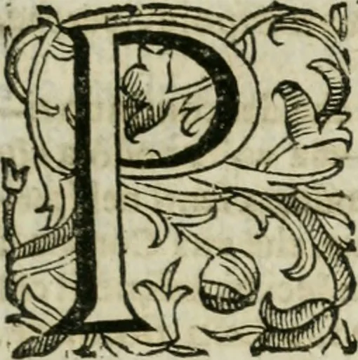 An illustration from Sito riminese, 1616, leaf 144