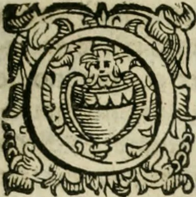 An illustration from Sito riminese, 1616, leaf 148