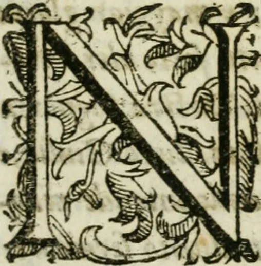 An illustration from Sito riminese, 1616, leaf 174