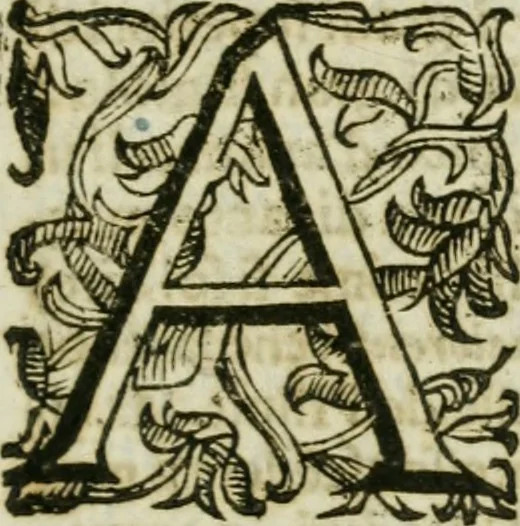 An illustration from Sito riminese, 1616, leaf 178