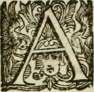 An illustration from Sito riminese, 1616, leaf 28