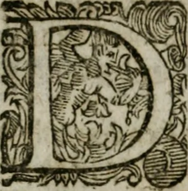 An illustration from Sito riminese, 1616, leaf 293