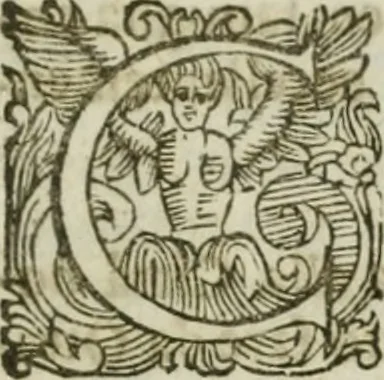 An illustration from Sito riminese, 1616, leaf 326