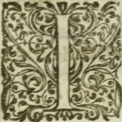 An illustration from Sito riminese, 1616, leaf 330