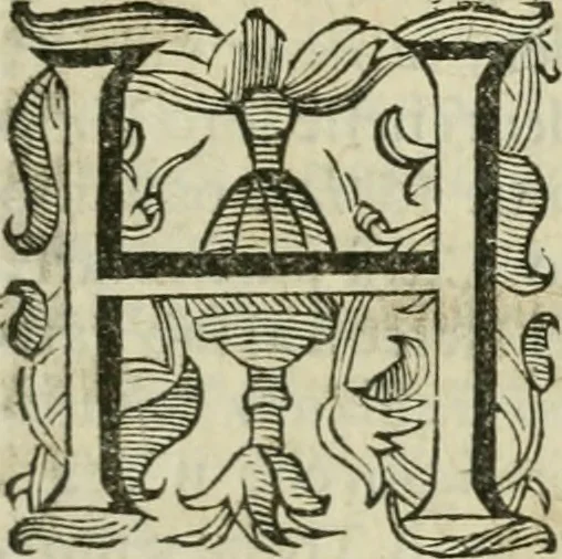 An illustration from Sito riminese, 1616, leaf 36