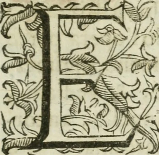 An illustration from Sito riminese, 1616, leaf 6