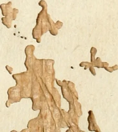 An illustration from Symbolographia, sive, De arte symbolica : sermones septem, 1701, leaf 1