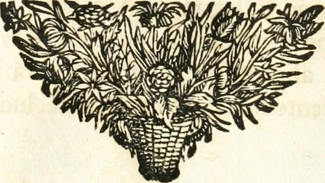 An illustration from Symbolographia, sive, De arte symbolica : sermones septem, 1701, leaf 101