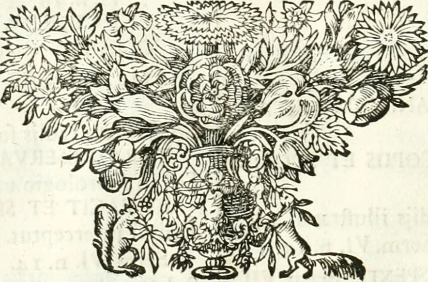 An illustration from Symbolographia, sive, De arte symbolica : sermones septem, 1701, leaf 105