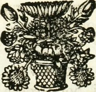 An illustration from Symbolographia, sive, De arte symbolica : sermones septem, 1701, leaf 139