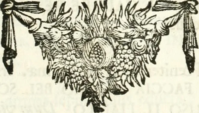 An illustration from Symbolographia, sive, De arte symbolica : sermones septem, 1701, leaf 152