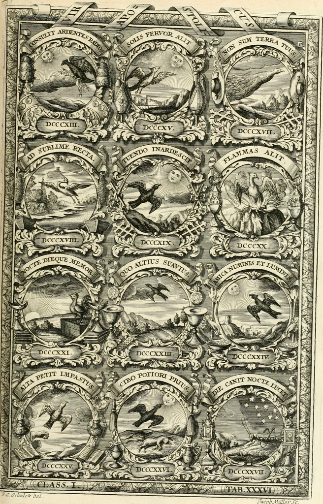 An illustration from Symbolographia, sive, De arte symbolica : sermones septem, 1701, leaf 244
