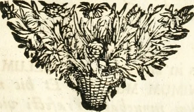 An illustration from Symbolographia, sive, De arte symbolica : sermones septem, 1701, leaf 288