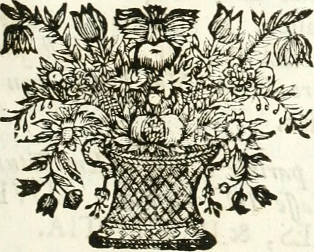 An illustration from Symbolographia, sive, De arte symbolica : sermones septem, 1701, leaf 300