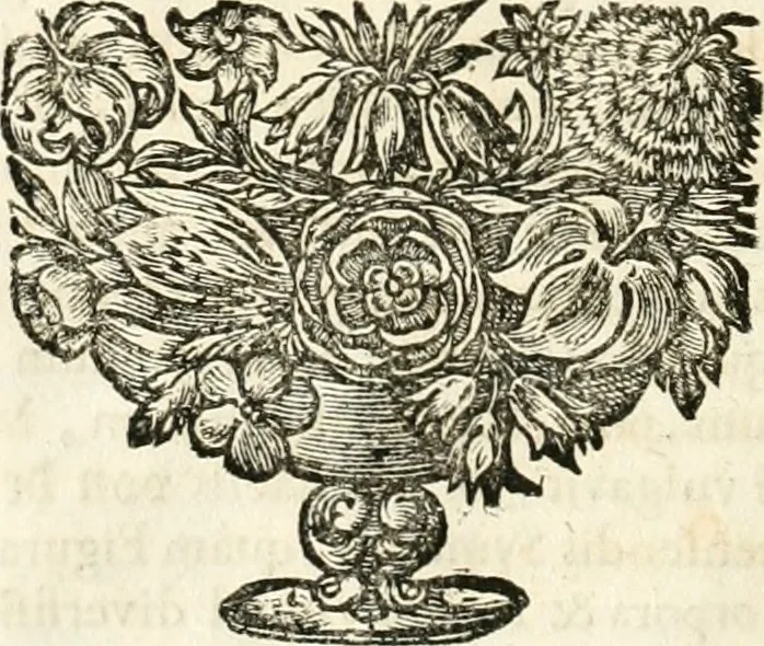 An illustration from Symbolographia, sive, De arte symbolica : sermones septem, 1701, leaf 31