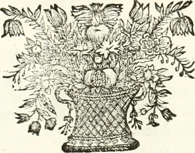 An illustration from Symbolographia, sive, De arte symbolica : sermones septem, 1701, leaf 313