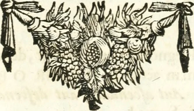 An illustration from Symbolographia, sive, De arte symbolica : sermones septem, 1701, leaf 484