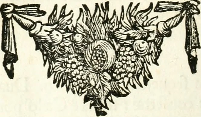 An illustration from Symbolographia, sive, De arte symbolica : sermones septem, 1701, leaf 517