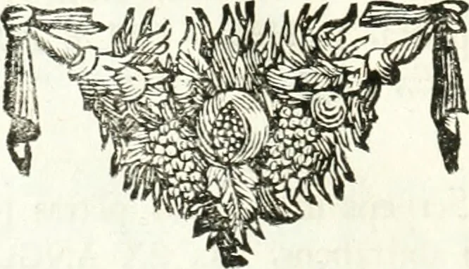 An illustration from Symbolographia, sive, De arte symbolica : sermones septem, 1701, leaf 529