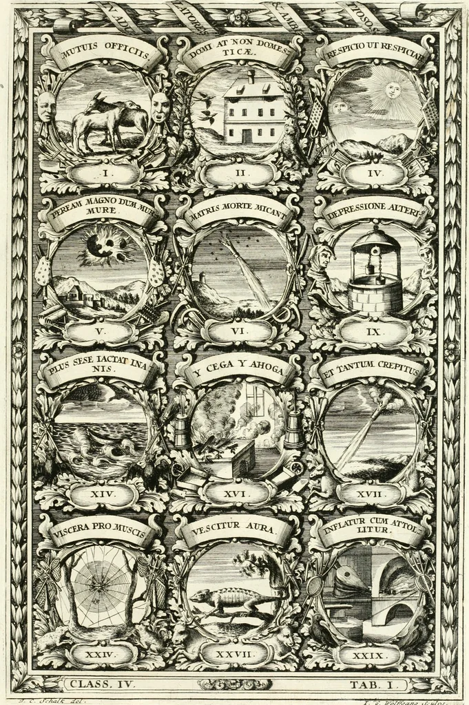 An illustration from Symbolographia, sive, De arte symbolica : sermones septem, 1701, leaf 678