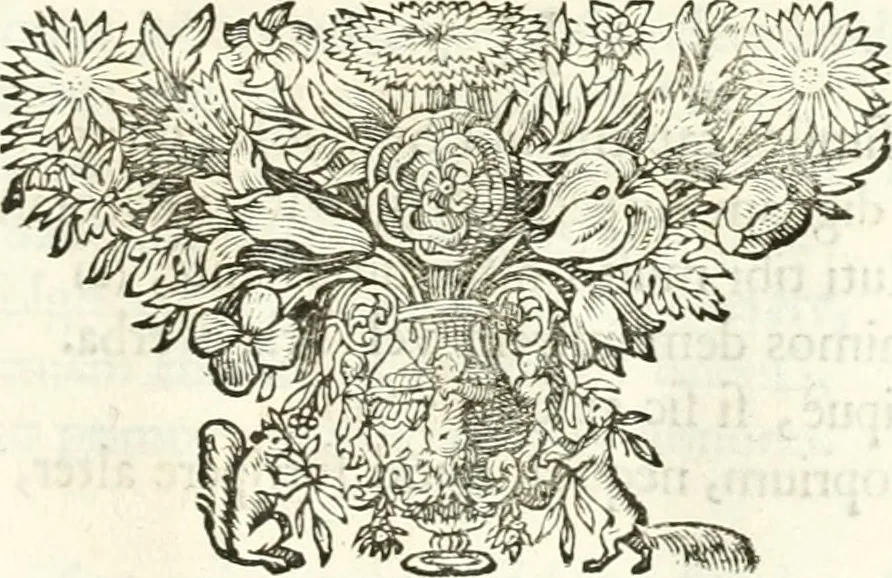 An illustration from Symbolographia, sive, De arte symbolica : sermones septem, 1701, leaf 70