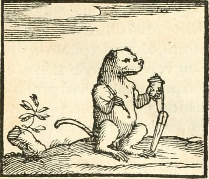 An illustration from Hieroglyphica, sive, De sacris Aegyptiorvm aliarvmqve gentivm literis commentarij, 1567, leaf 104