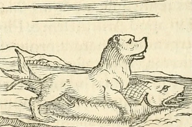 An illustration from Hieroglyphica, sive, De sacris Aegyptiorvm aliarvmqve gentivm literis commentarij, 1567, leaf 105