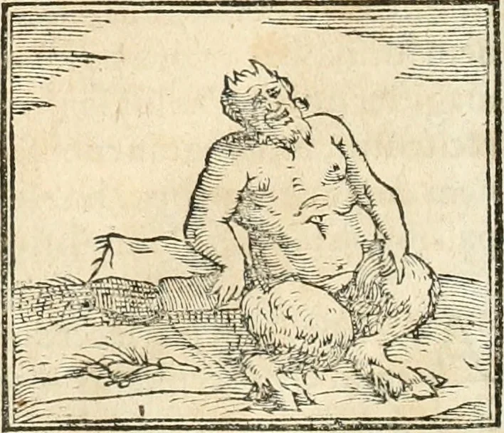 An illustration from Hieroglyphica, sive, De sacris Aegyptiorvm aliarvmqve gentivm literis commentarij, 1567, leaf 107