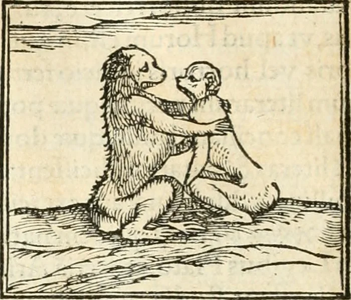 An illustration from Hieroglyphica, sive, De sacris Aegyptiorvm aliarvmqve gentivm literis commentarij, 1567, leaf 109