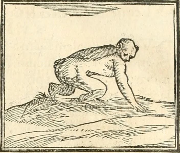 An illustration from Hieroglyphica, sive, De sacris Aegyptiorvm aliarvmqve gentivm literis commentarij, 1567, leaf 110