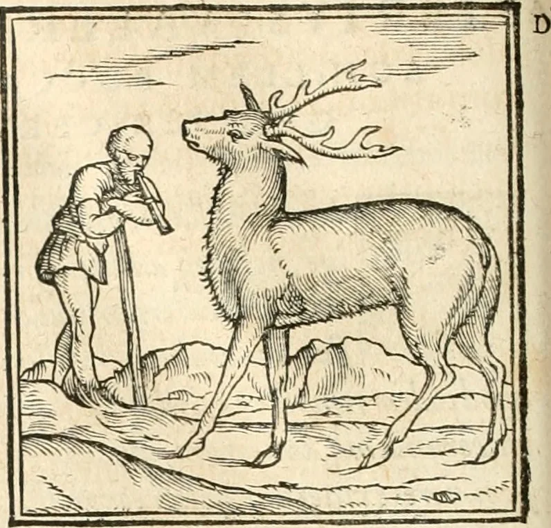 An illustration from Hieroglyphica, sive, De sacris Aegyptiorvm aliarvmqve gentivm literis commentarij, 1567, leaf 113