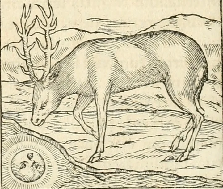An illustration from Hieroglyphica, sive, De sacris Aegyptiorvm aliarvmqve gentivm literis commentarij, 1567, leaf 117