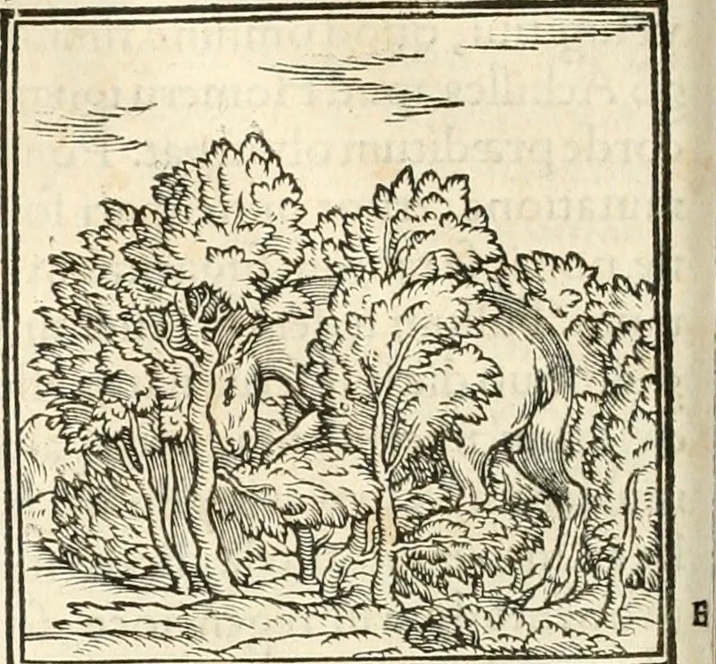 An illustration from Hieroglyphica, sive, De sacris Aegyptiorvm aliarvmqve gentivm literis commentarij, 1567, leaf 119