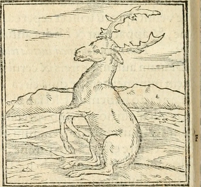 An illustration from Hieroglyphica, sive, De sacris Aegyptiorvm aliarvmqve gentivm literis commentarij, 1567, leaf 121