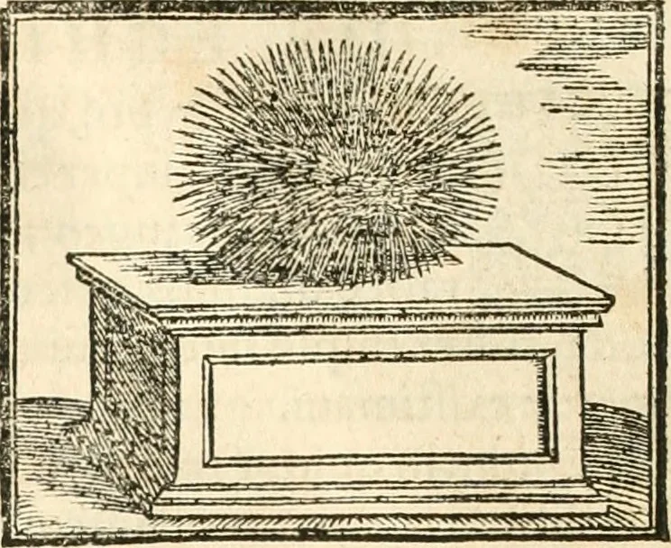 An illustration from Hieroglyphica, sive, De sacris Aegyptiorvm aliarvmqve gentivm literis commentarij, 1567, leaf 135