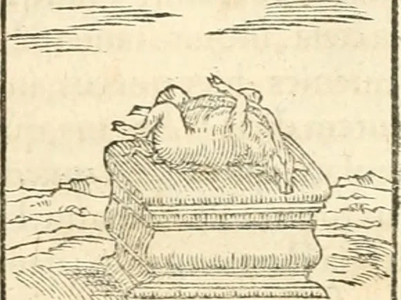 An illustration from Hieroglyphica, sive, De sacris Aegyptiorvm aliarvmqve gentivm literis commentarij, 1567, leaf 148