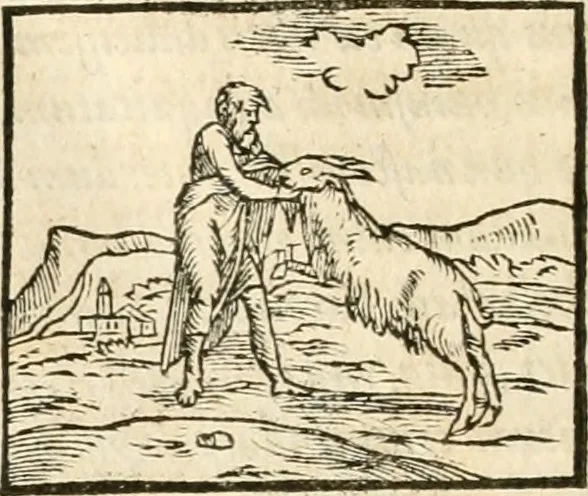 An illustration from Hieroglyphica, sive, De sacris Aegyptiorvm aliarvmqve gentivm literis commentarij, 1567, leaf 153