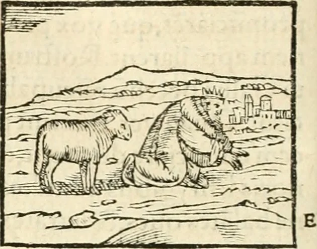 An illustration from Hieroglyphica, sive, De sacris Aegyptiorvm aliarvmqve gentivm literis commentarij, 1567, leaf 159