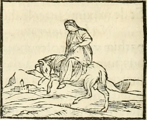 An illustration from Hieroglyphica, sive, De sacris Aegyptiorvm aliarvmqve gentivm literis commentarij, 1567, leaf 165