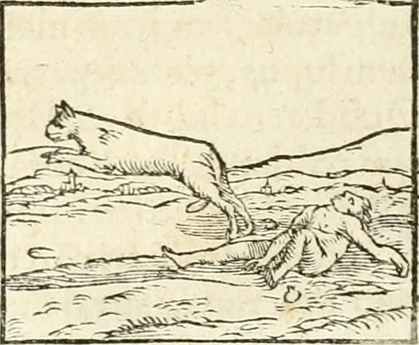 An illustration from Hieroglyphica, sive, De sacris Aegyptiorvm aliarvmqve gentivm literis commentarij, 1567, leaf 171