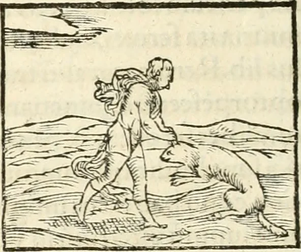 An illustration from Hieroglyphica, sive, De sacris Aegyptiorvm aliarvmqve gentivm literis commentarij, 1567, leaf 173