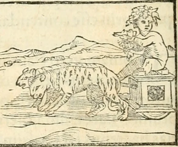 An illustration from Hieroglyphica, sive, De sacris Aegyptiorvm aliarvmqve gentivm literis commentarij, 1567, leaf 179