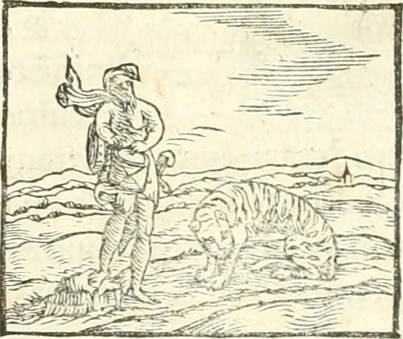 An illustration from Hieroglyphica, sive, De sacris Aegyptiorvm aliarvmqve gentivm literis commentarij, 1567, leaf 180