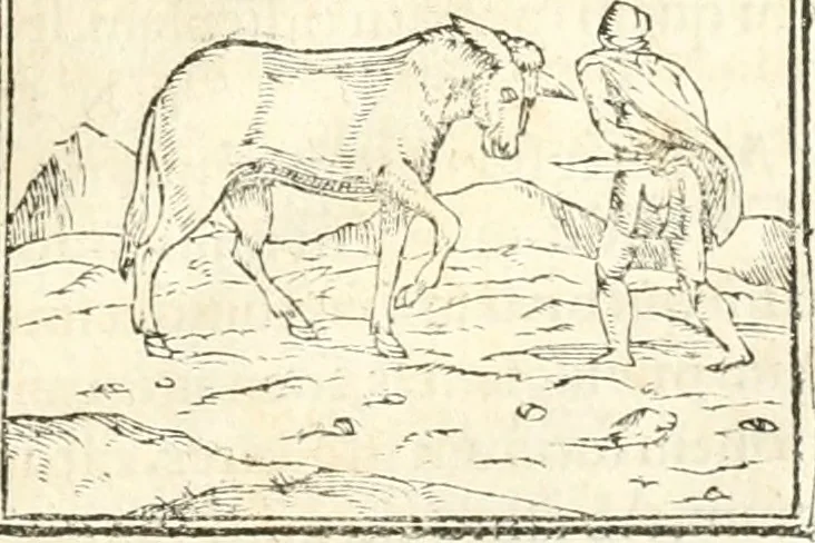 An illustration from Hieroglyphica, sive, De sacris Aegyptiorvm aliarvmqve gentivm literis commentarij, 1567, leaf 186