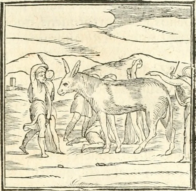 An illustration from Hieroglyphica, sive, De sacris Aegyptiorvm aliarvmqve gentivm literis commentarij, 1567, leaf 190