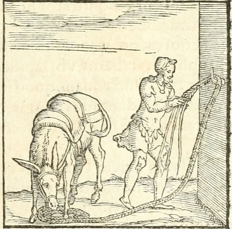 An illustration from Hieroglyphica, sive, De sacris Aegyptiorvm aliarvmqve gentivm literis commentarij, 1567, leaf 190
