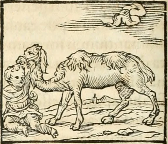 An illustration from Hieroglyphica, sive, De sacris Aegyptiorvm aliarvmqve gentivm literis commentarij, 1567, leaf 199